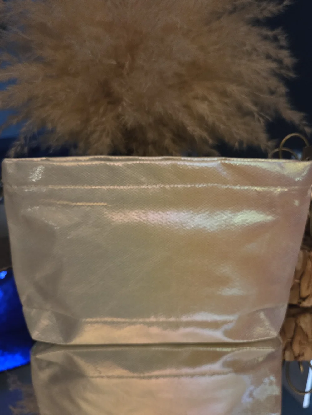 Equilibria Metallic Champagne Gold Iridescent Textured Zip Clutch Pouch